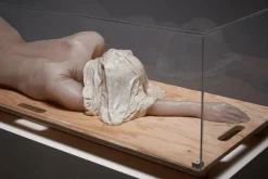 Pamono Nude Lady, 2000s, Wax Figure in Acrylic Glass><noscript><img width=