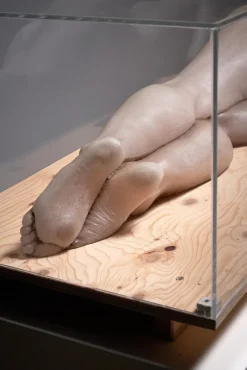 Pamono Nude Lady, 2000s, Wax Figure in Acrylic Glass><noscript><img width=