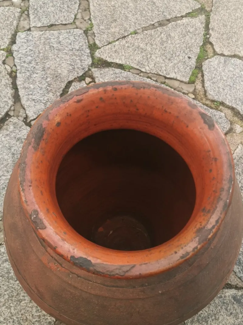 Pamono Olive Oil Pot, 1890s> Garden Accessories