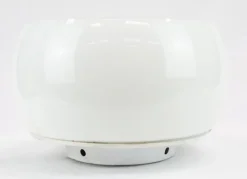 Sale Pamono Omega Ceiling Lamp by Vico Magistretti for Artemide, 1960s
