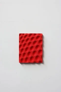 Pamono Ommididium 2 Wall Sculpture by Arno Hoogland> Wall Decor