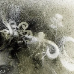 Pamono Ophelia # 5, Hand-Painted, Mixed Media Portrait Photography on Paper, Framed, 2012><noscript><img width=
