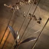 New Pamono Orchidee Sculpture by Erwan Cariou
