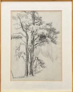 Best Pamono Otto Vautier, Tree, Graphite on Paper