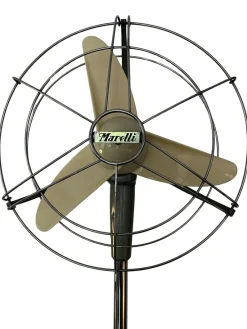 New Pamono Pedestal Fan by Marelli, Italy, 1950s