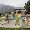 Pamono Poolside Party - Slim Aarons - Color Photography 20th Century, 1970> Photography