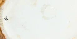 Best Pamono Porcelain Chicken Dish, 1890s