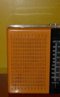 Online Pamono Portable Radio from CGE, Italy, 1970s
