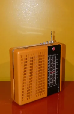 Online Pamono Portable Radio from CGE, Italy, 1970s