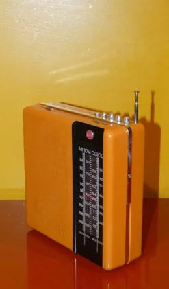 Online Pamono Portable Radio from CGE, Italy, 1970s