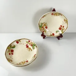 Hot Pamono Portobello Soup Plates from Villeroy & Boch, 1960s, Set of 4