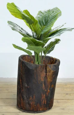 Pamono Primitive Storage Planter, 1900><noscript><img width=