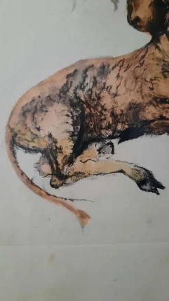 New Pamono Print by Leonor Fini, 1950s