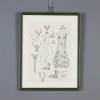 Hot Pamono R. Brindisi, Design, Charcoal on Paper