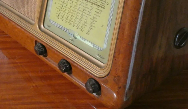 Pamono Radio 2105 in Bakelite and Briarwood by CGE, 1940s> Electronics