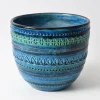 Pamono Rimini Blue Flower Pot by Aldo Londi for Bitossi, 1960s> Garden Accessories