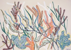 Hot Pamono Romina Milano, Coral Mosaic, 2025, Gouache