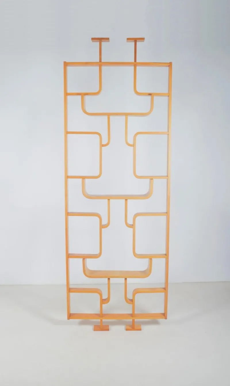 Pamono Room Divider attributed to Volak for Drevopodnik Holesov, 1960s> Room Dividers & Screens