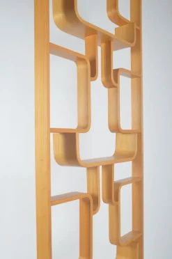 Pamono Room Divider attributed to Volak for Drevopodnik Holesov, 1960s><noscript><img width=