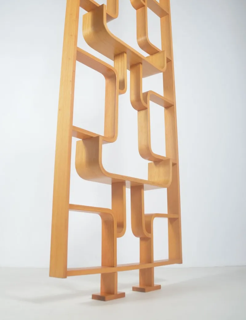 Pamono Room Divider attributed to Volak for Drevopodnik Holesov, 1960s> Room Dividers & Screens