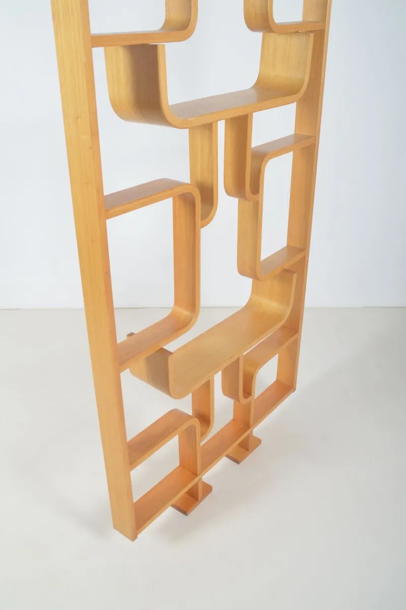 Pamono Room Divider attributed to Volak for Drevopodnik Holesov, 1960s> Room Dividers & Screens