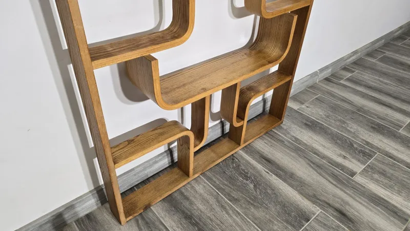 Pamono Room Divider by Ludvik Volak for Drevopodnik Holesov, 1950s> Room Dividers & Screens