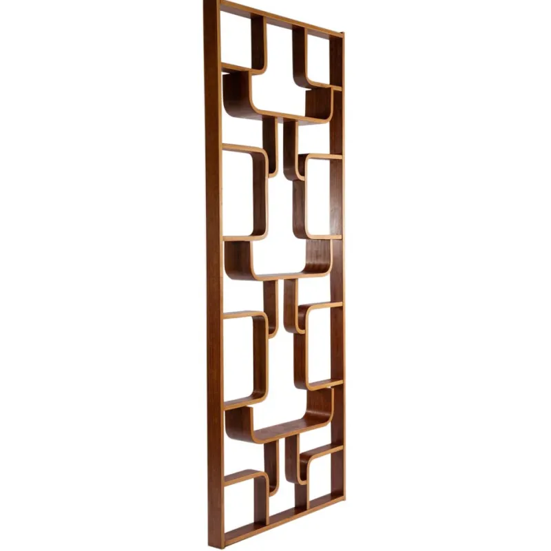Pamono Room Divider by Ludvik Volak fpr Drevopodnik Holesov, 1960s