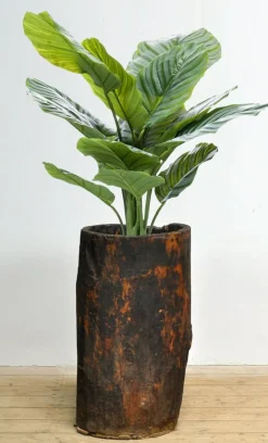 Hot Pamono Rustic Storage Planter, 1900