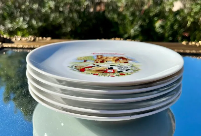 Hot Pamono 1970s Vintage Winterling Kitchenlomite Bavaria Porcelain Illustrated Cheese Plates- Set of 5