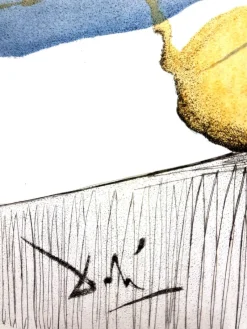 Pamono Salvador Dali - Cut Cucumber - Original Etching 1967> Surrealist
