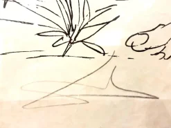 Pamono Salvador Dali - Les Songes Drolatiques - Handsigned Lithograph 1973