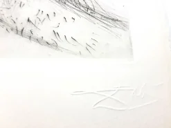 Best Pamono Salvador Dali - Venus in Furs - Original Stamp-Signed Etching 1968