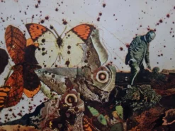 Hot Pamono Salvador Dali, Auvergne, Butterfly Suite, Original Lithograph