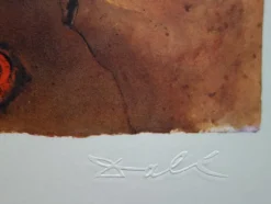 Hot Pamono Salvador Dali, Auvergne, Butterfly Suite, Original Lithograph