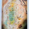 Pamono Salvador Dali, Cosmic Madonna, Original Lithograph, 1970s> Surrealist