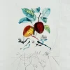 Pamono Salvador Dali, Dragon Apple from Flordali Suite, 1969, Lithograph with Drypoint Etching> Surrealist|Prints & Multiples