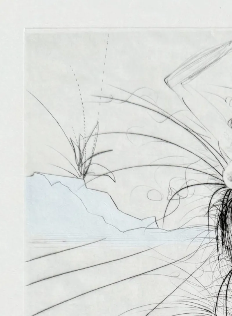 Clearance Pamono Salvador Dali, La Botte violette, 1969, Etching