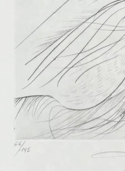 Clearance Pamono Salvador Dali, La Botte violette, 1969, Etching
