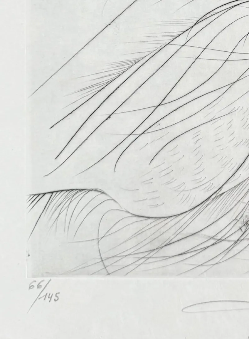 Clearance Pamono Salvador Dali, La Botte violette, 1969, Etching