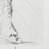Pamono Salvador Dali, Les Aigrettes, 1969, Etching> Surrealist|Prints & Multiples