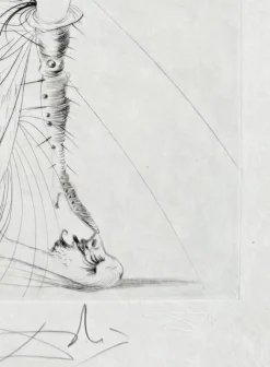 Pamono Salvador Dali, Les Aigrettes, 1969, Etching> Surrealist|Prints & Multiples