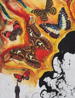 Sale Pamono Salvador Dali, Paris, Butterfly Suite, Original Lithograph