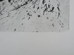 Sale Pamono Salvador Dali, Paris, Butterfly Suite, Original Lithograph