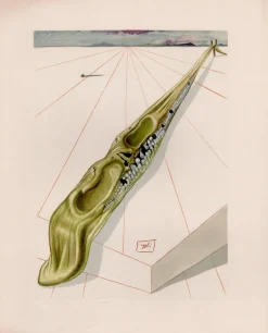 Discount Pamono Salvador Dali, The Blasphemers, 1964, Original Woodcut