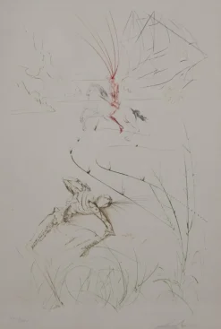 Discount Pamono Salvador Dali, Tristan and Isolde, Vanity, Original Signed Etching