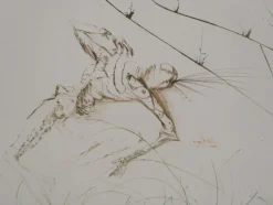 Discount Pamono Salvador Dali, Tristan and Isolde, Vanity, Original Signed Etching