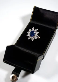 Pamono Saphire and Diamonds 18k White Gold Cocktail Halo Cluster Ring, 1970s><noscript><img width=
