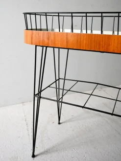 Best Pamono Scandinavian Teak and Metal Flower Stand, 1960s