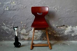 Discount Pamono School Chair by Adam Stegner for Pagholz Flöttoto, 1960s
