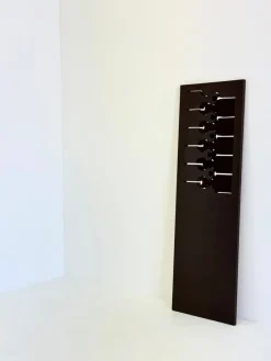 Best Pamono Scorpion Coat Rack with Mirror attributed to Anonima Design for Bonetto, 1970s